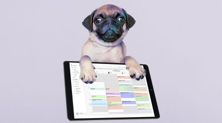 Elegir tu software para peluquería canina